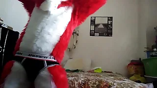 398 gay masturbation porn videos