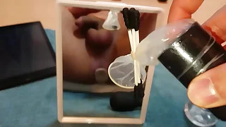 vibrator to pest