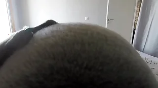 POV inflation