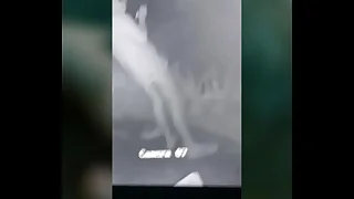 Atrapo a mi t&iacute;o orinando